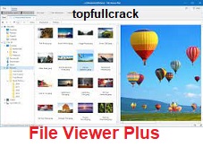 File Viewer Plus Crack 2022