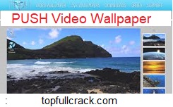 push video wallpaper Crack