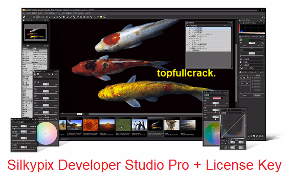 Silkypix Developer Studio Pro 11.1.3.0 Crack